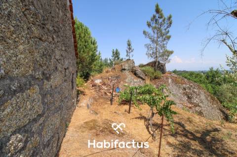 Quinta com Vinha e Potencial de Habitação em Sabugosa – Tondela