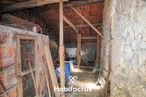 Quinta com Vinha e Potencial de Habitação em Sabugosa – Tondela