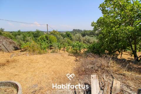 Quinta com Vinha e Potencial de Habitação em Sabugosa – Tondela