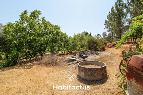 Quinta com Vinha e Potencial de Habitação em Sabugosa – Tondela