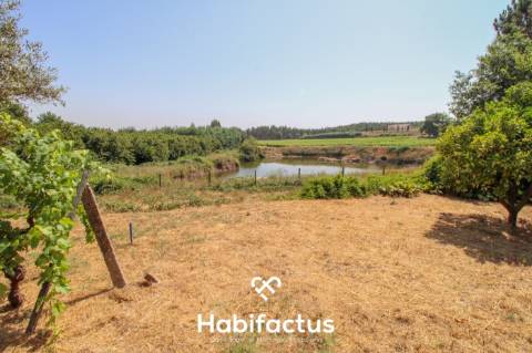 Quinta com Vinha e Potencial de Habitação em Sabugosa – Tondela