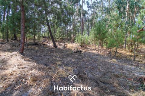 Quinta com Vinha e Potencial de Habitação em Sabugosa – Tondela