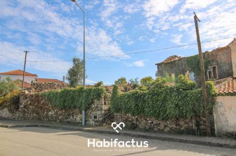 Moradia em Pedra com Potencial Ilimitado em Tondela