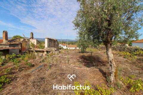 Moradia em Pedra com Potencial Ilimitado em Tondela
