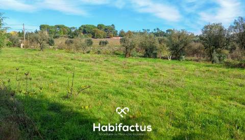 Terreno à venda em Vilar Seco