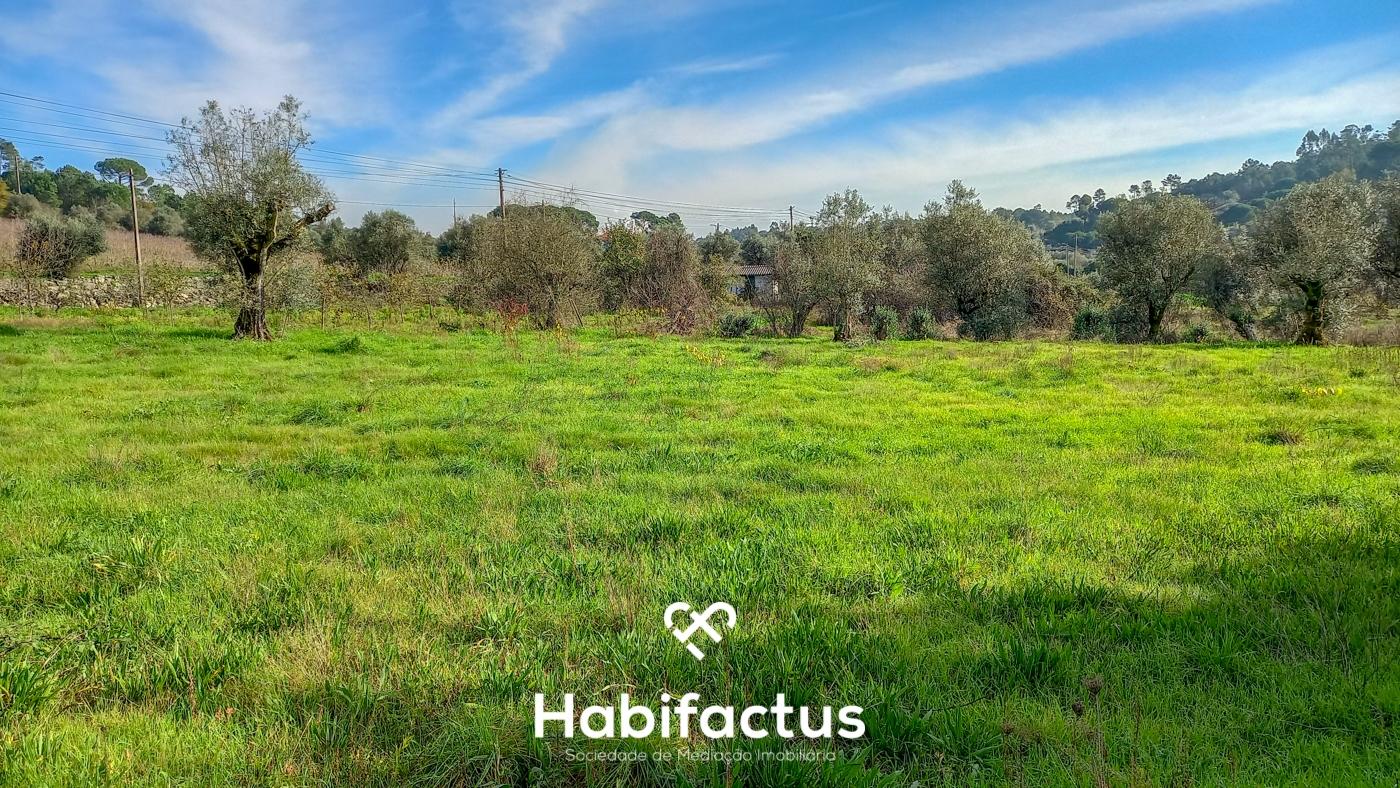 Terreno à venda em Vilar Seco