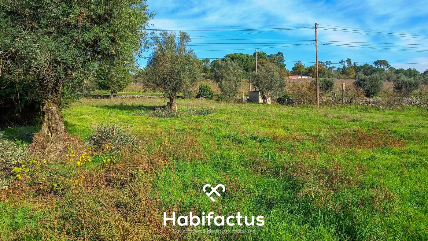 Terreno à venda em Vilar Seco