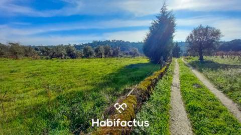Terreno à venda em Vilar Seco