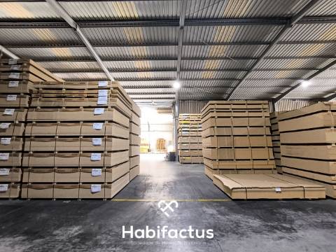 Armazém Industrial de 10.200 m² em Mangualde