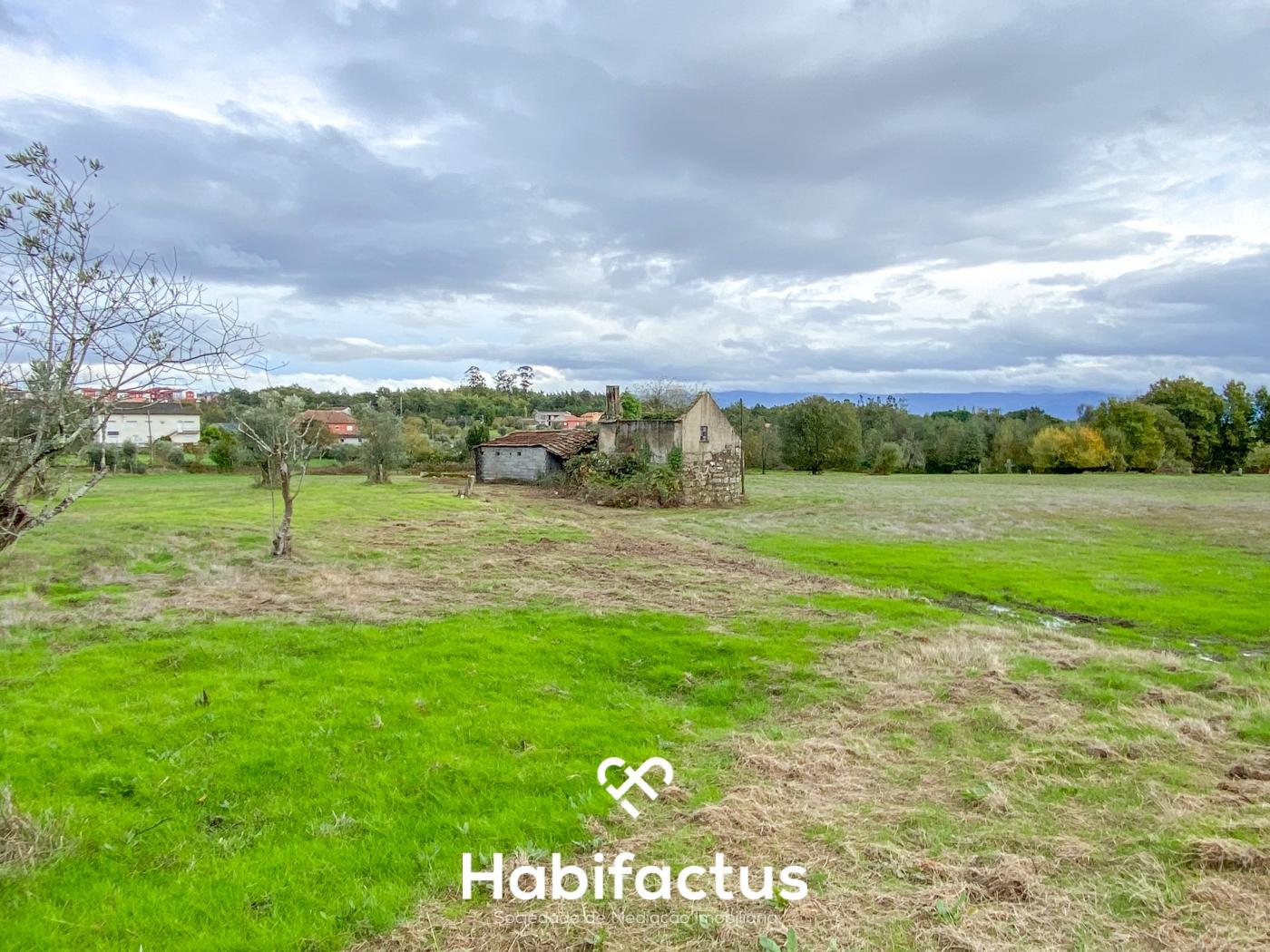 Quinta com 16.500 m² no centro de Mangualde – Oportunidade única!