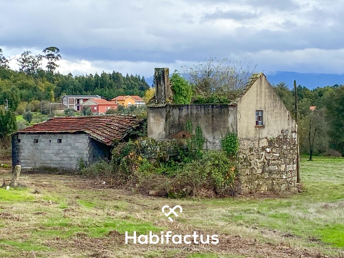 Quinta com 16.500 m² no centro de Mangualde – Oportunidade única!