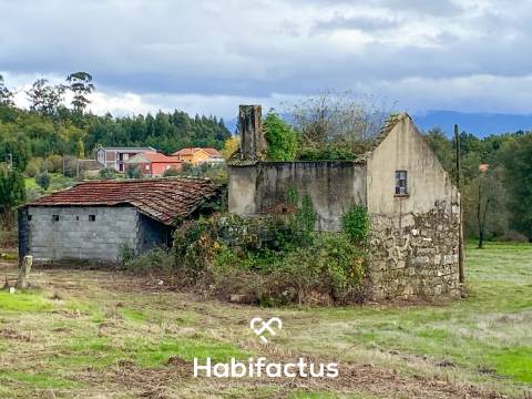 Quinta com 16.500 m² no centro de Mangualde – Oportunidade única!