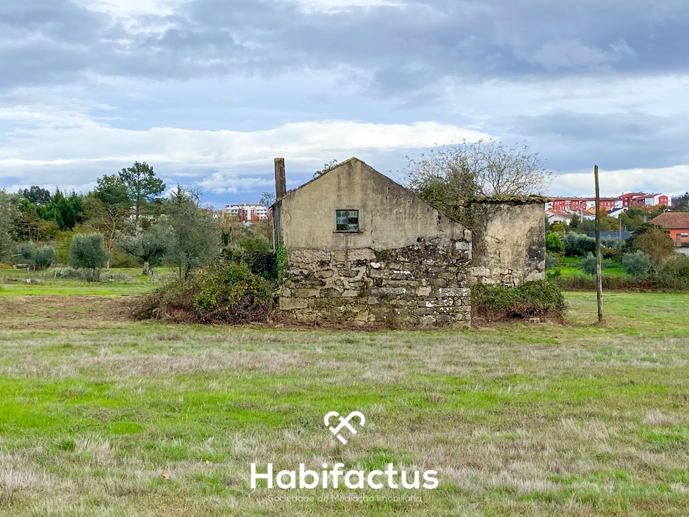 Quinta com 16.500 m² no centro de Mangualde – Oportunidade única!