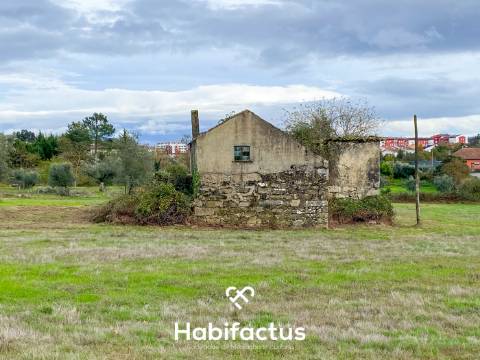 Quinta com 16.500 m² no centro de Mangualde – Oportunidade única!