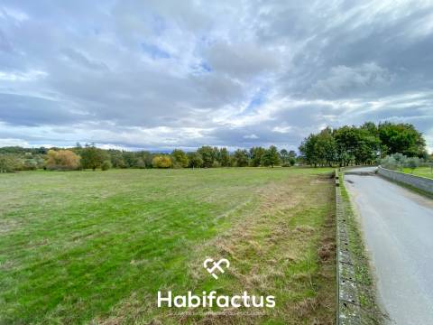 Quinta com 16.500 m² no centro de Mangualde – Oportunidade única!