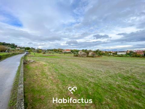 Quinta com 16.500 m² no centro de Mangualde – Oportunidade única!