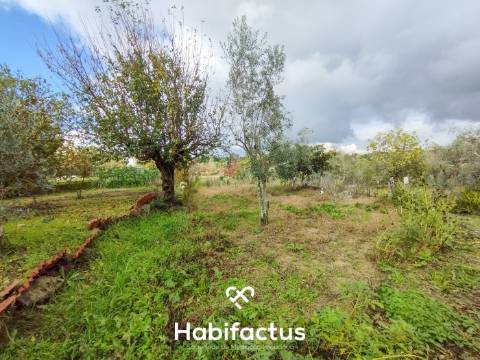 Terreno com Viabilidade de Construção – Paranhos da Beira, Seia