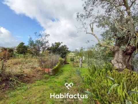 Terreno com Viabilidade de Construção – Paranhos da Beira, Seia