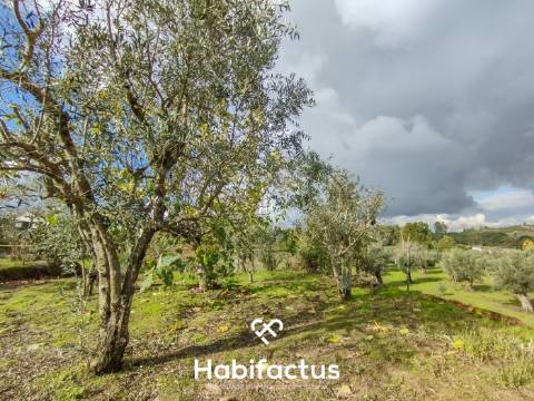 Terreno com Viabilidade de Construção – Paranhos da Beira, Seia