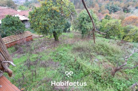 Casa em Pedra - Tondela