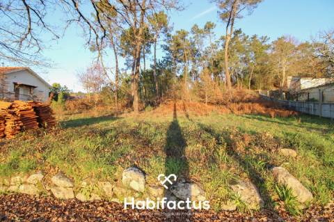 Terreno para venda em Ribafeita