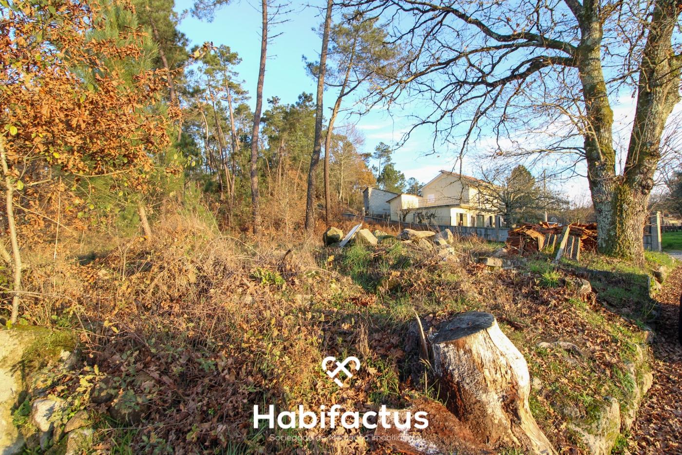 Terreno para venda em Ribafeita