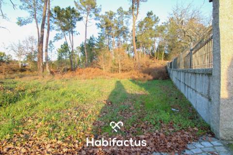 Terreno para venda em Ribafeita