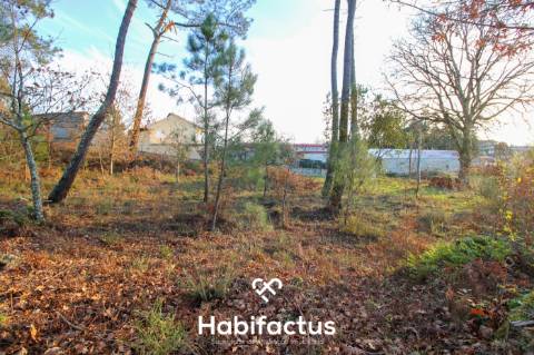 Terreno para venda em Ribafeita