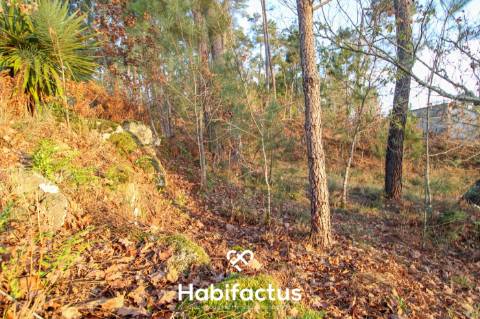 Terreno para venda em Ribafeita