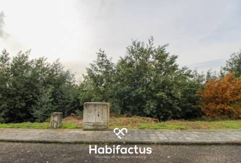 Terreno para Construção moradia unifamiliar , Qta Regucha Santa Comba Dão