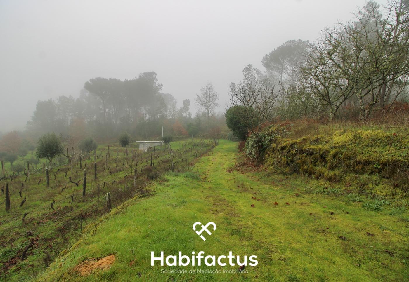 Quintinha  Venda em Fornos de Maceira Dão,Mangualde