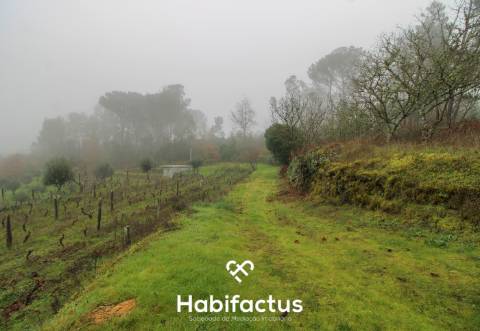 Quintinha  Venda em Fornos de Maceira Dão,Mangualde