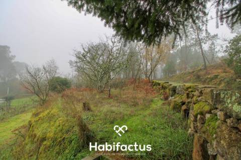 Quintinha  Venda em Fornos de Maceira Dão,Mangualde