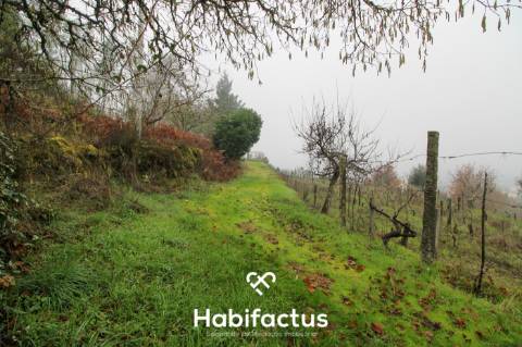 Quintinha  Venda em Fornos de Maceira Dão,Mangualde