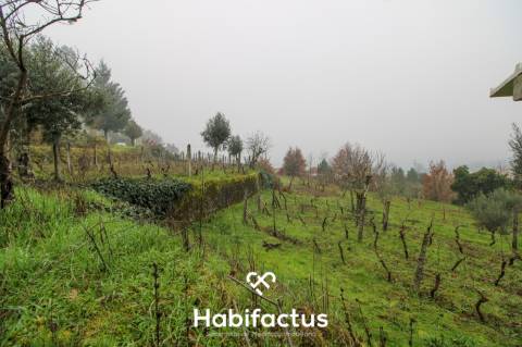 Quintinha  Venda em Fornos de Maceira Dão,Mangualde