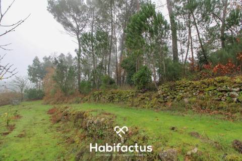 Quintinha  Venda em Fornos de Maceira Dão,Mangualde