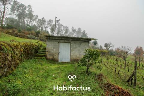 Quintinha  Venda em Fornos de Maceira Dão,Mangualde