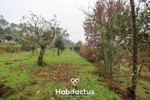Quintinha  Venda em Fornos de Maceira Dão,Mangualde