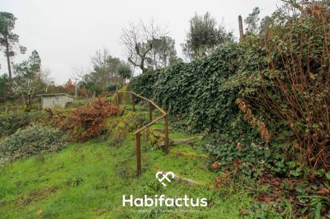 Quintinha  Venda em Fornos de Maceira Dão,Mangualde