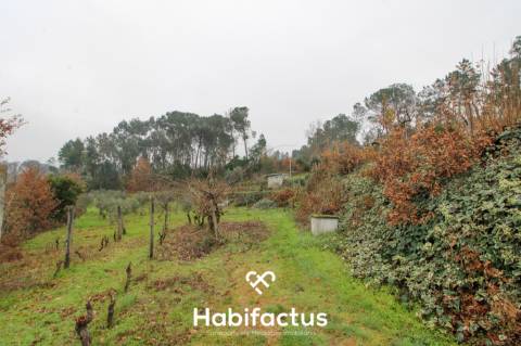 Quintinha  Venda em Fornos de Maceira Dão,Mangualde