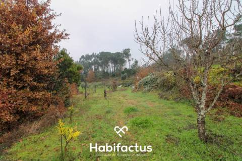 Quintinha  Venda em Fornos de Maceira Dão,Mangualde