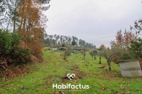 Quintinha  Venda em Fornos de Maceira Dão,Mangualde