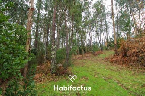 Quintinha  Venda em Fornos de Maceira Dão,Mangualde