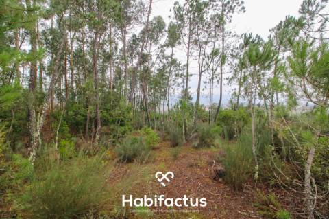 Quintinha  Venda em Fornos de Maceira Dão,Mangualde