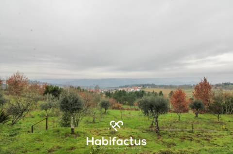 Quintinha  Venda em Fornos de Maceira Dão,Mangualde