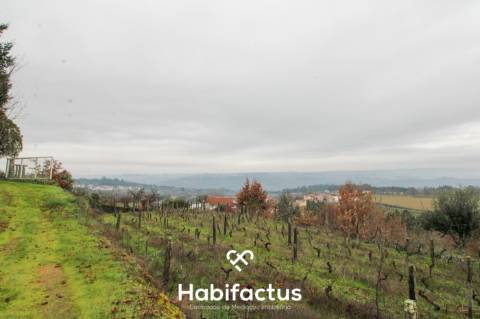 Quintinha  Venda em Fornos de Maceira Dão,Mangualde