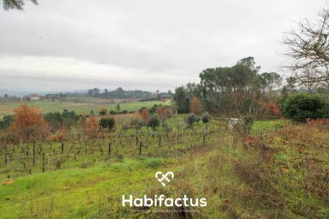 Quintinha  Venda em Fornos de Maceira Dão,Mangualde