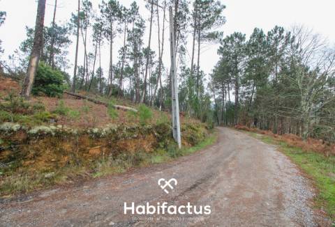 Quintinha  Venda em Fornos de Maceira Dão,Mangualde