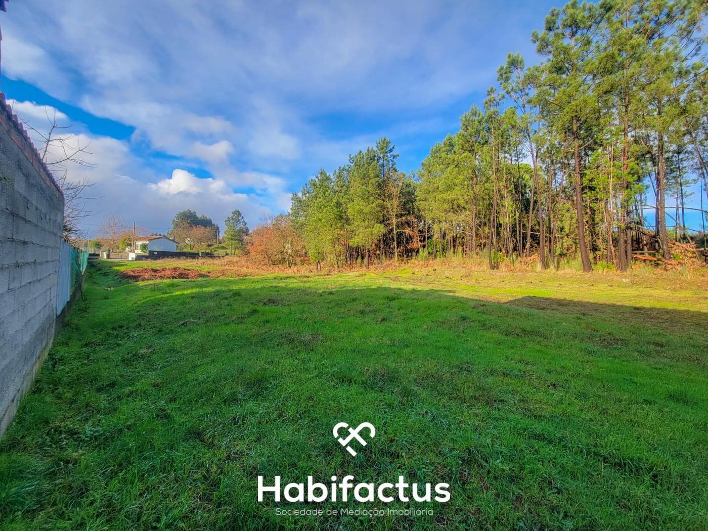 Terreno Rústico- 2.158 m2, á venda em Pinheiro Baixo, Mangualde - Viseu