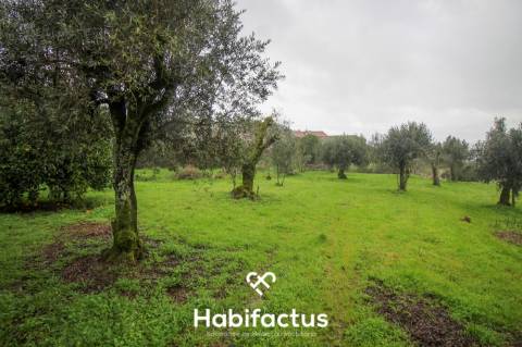 Moradia de pedra para venda T1+2 em Pedras Ruivas – Seixo da Beira - Oliveira do Hospital